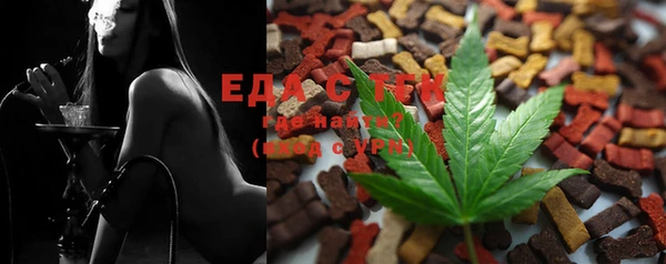 ECSTASY Алзамай