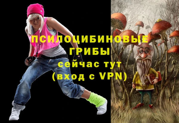 ECSTASY Алзамай