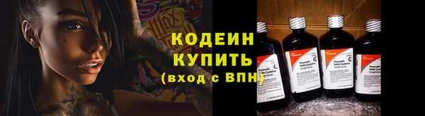 ECSTASY Алзамай