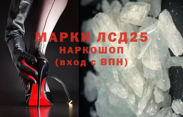ECSTASY Алзамай