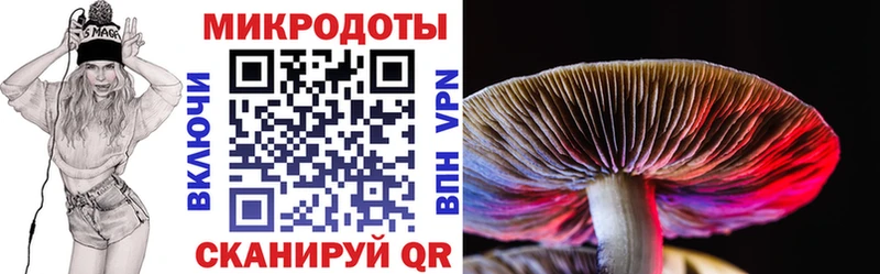 Галлюциногенные грибы Psilocybine cubensis Балашиха