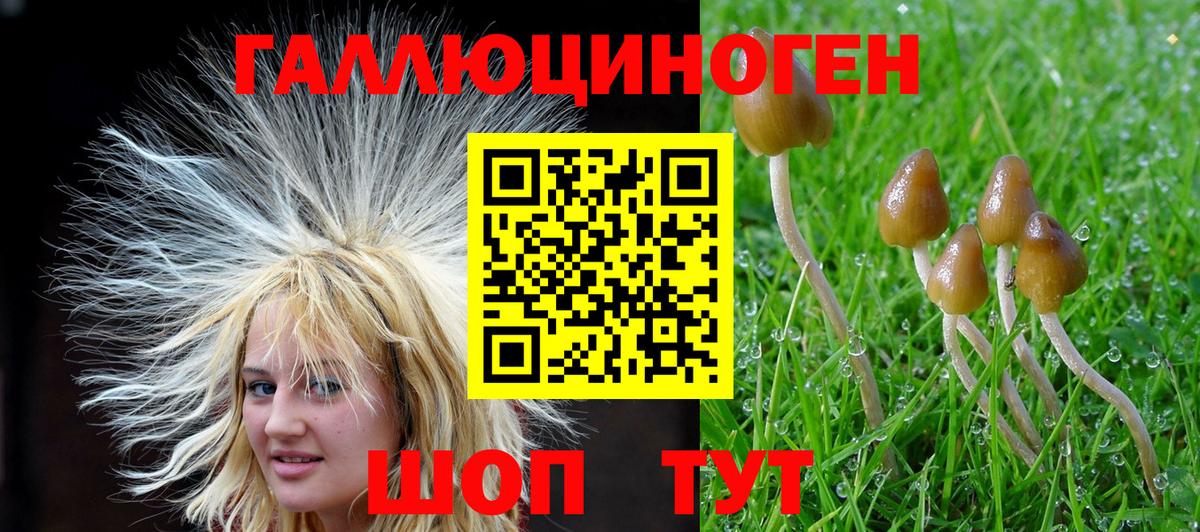 Псилоцибиновые грибы ЛСД  Вход с VPN  Балашиха 