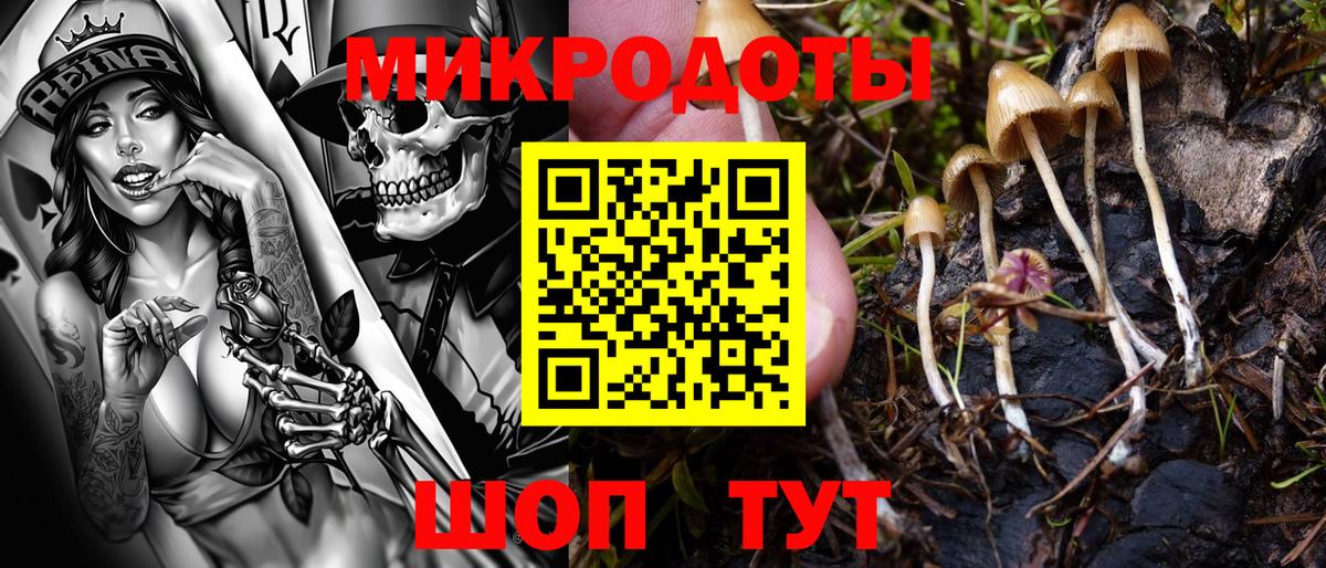 Псилоцибиновые грибы мицелий Балашиха